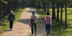 면역력 높이기